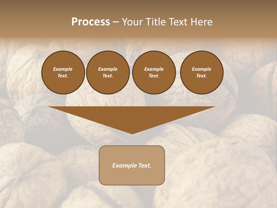 Fruit Filbert Bug PowerPoint Template