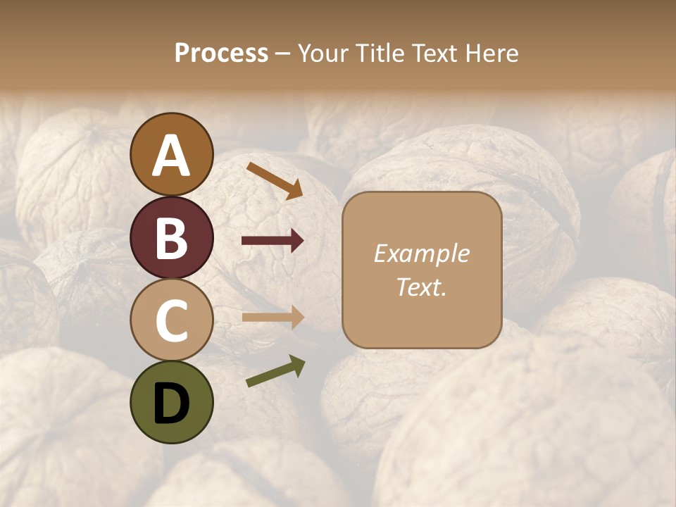 Fruit Filbert Bug PowerPoint Template