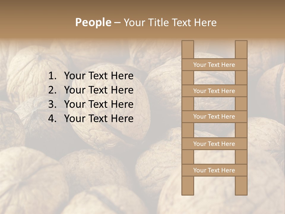 Fruit Filbert Bug PowerPoint Template