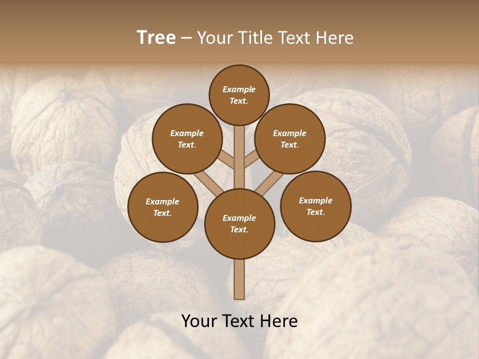 Fruit Filbert Bug PowerPoint Template