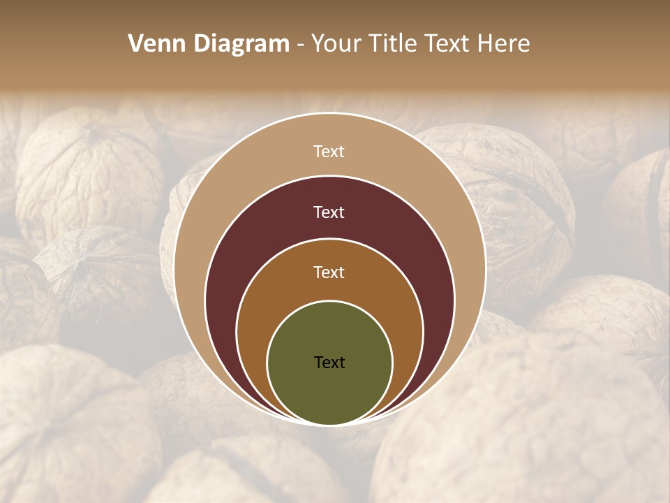 Fruit Filbert Bug PowerPoint Template