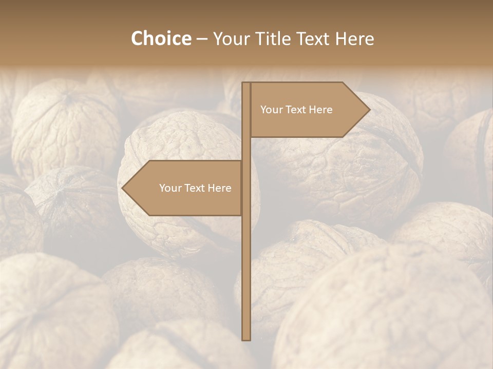 Fruit Filbert Bug PowerPoint Template