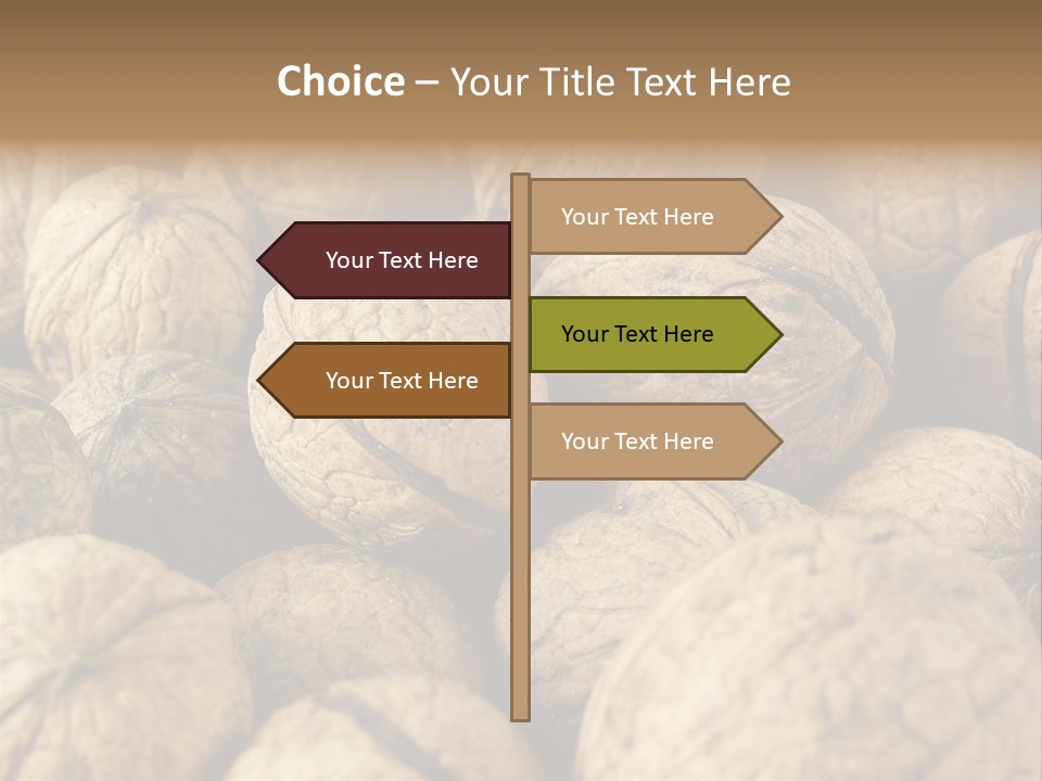 Fruit Filbert Bug PowerPoint Template