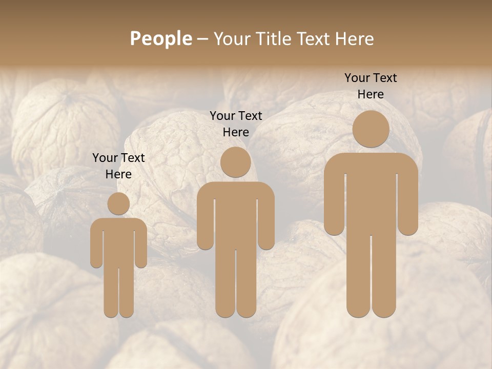 Fruit Filbert Bug PowerPoint Template