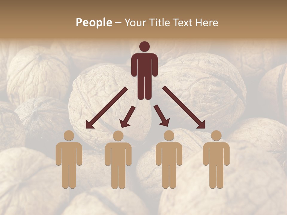 Fruit Filbert Bug PowerPoint Template