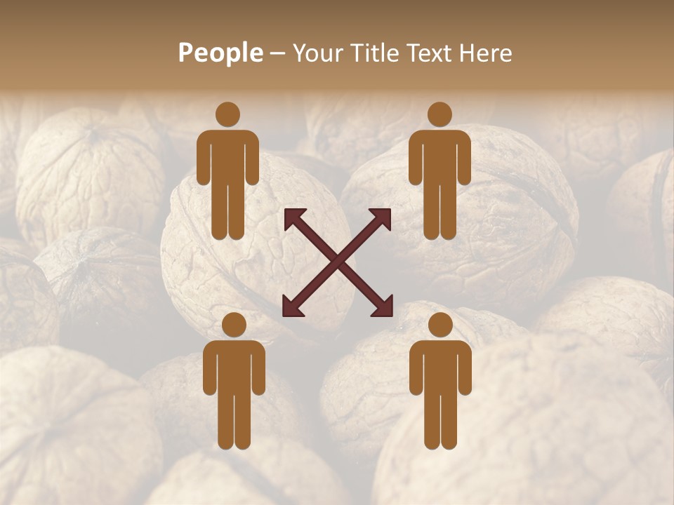 Fruit Filbert Bug PowerPoint Template