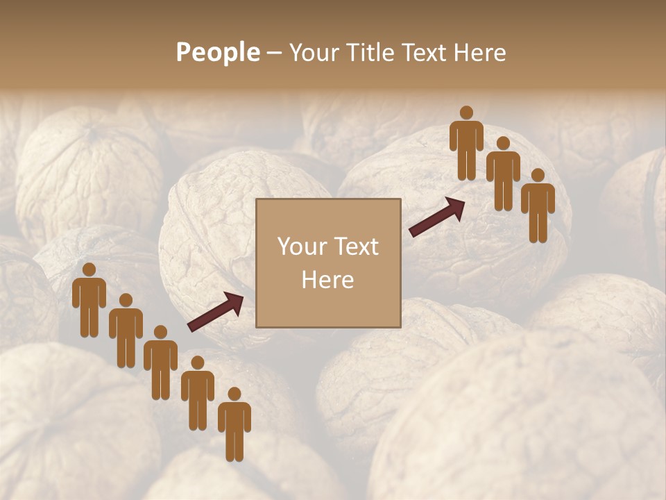 Fruit Filbert Bug PowerPoint Template