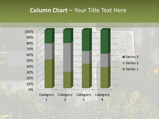 Land Memory Interiors PowerPoint Template