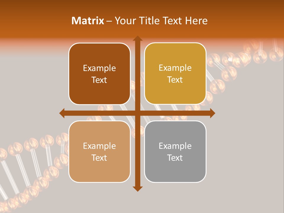 Health Ball Helix PowerPoint Template