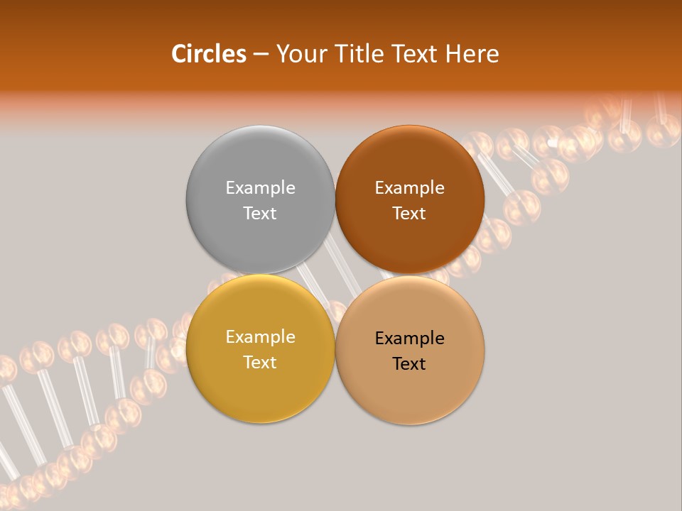 Health Ball Helix PowerPoint Template