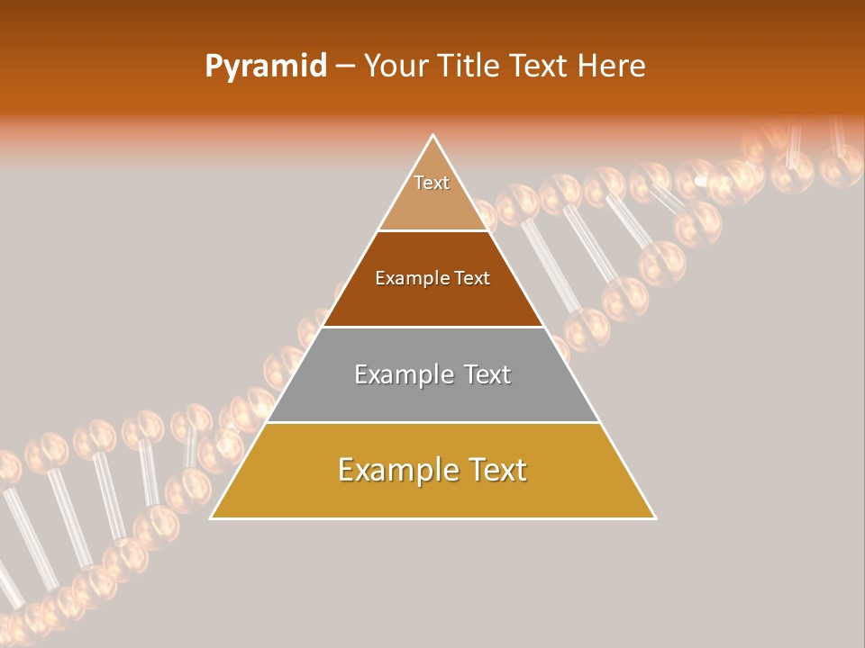 Health Ball Helix PowerPoint Template