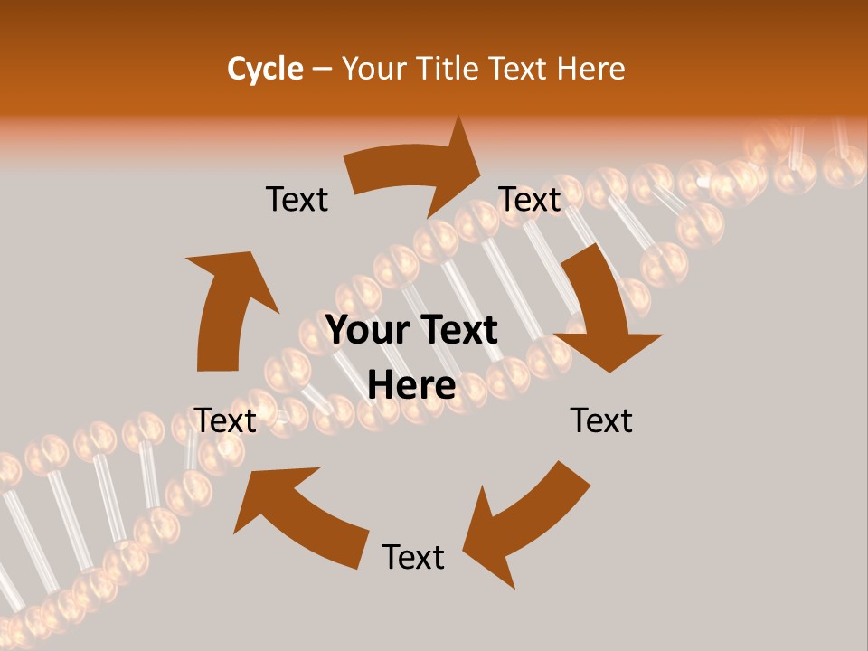 Health Ball Helix PowerPoint Template