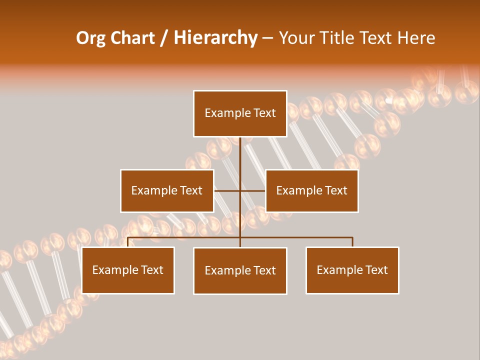 Health Ball Helix PowerPoint Template