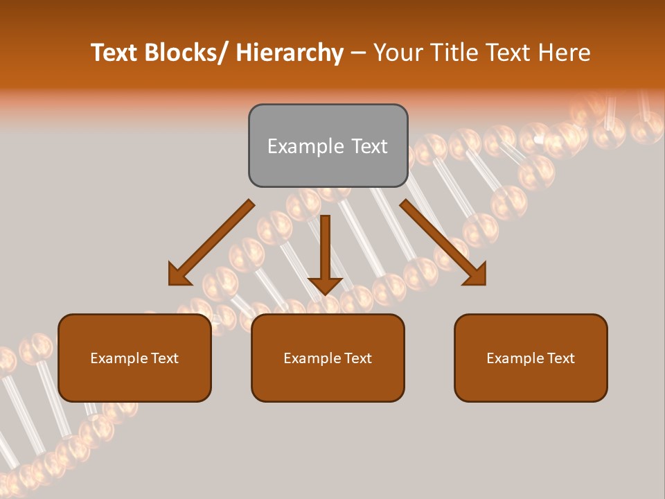 Health Ball Helix PowerPoint Template