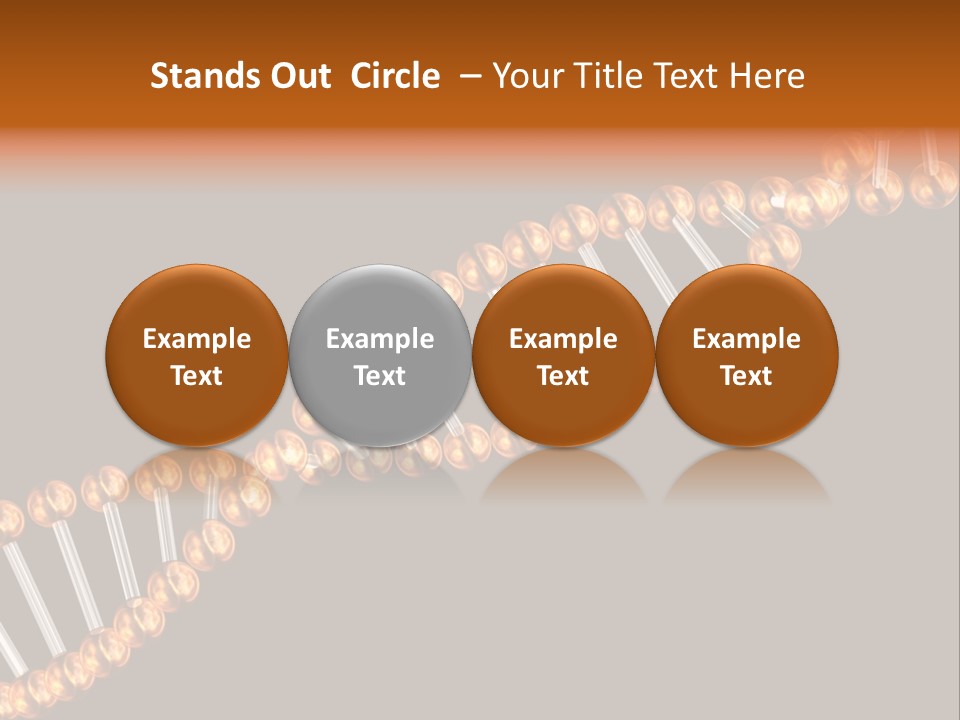 Health Ball Helix PowerPoint Template