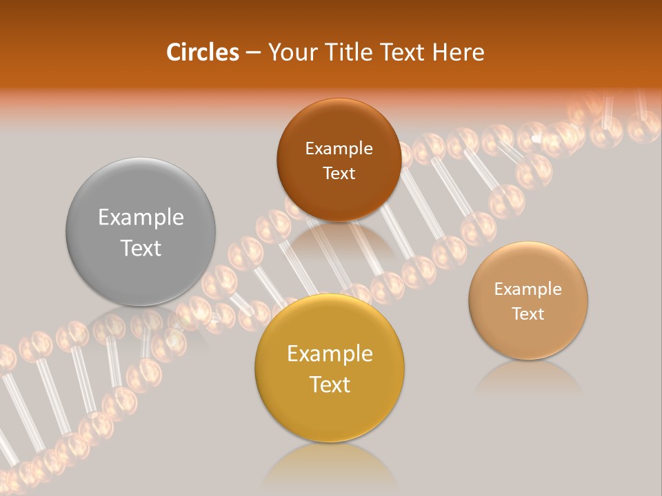 Health Ball Helix PowerPoint Template