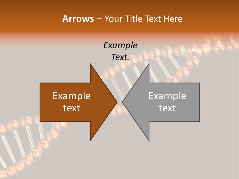 Health Ball Helix PowerPoint Template