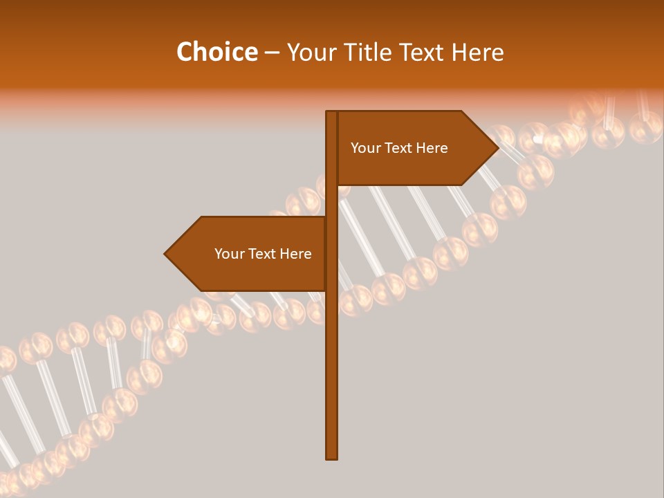 Health Ball Helix PowerPoint Template