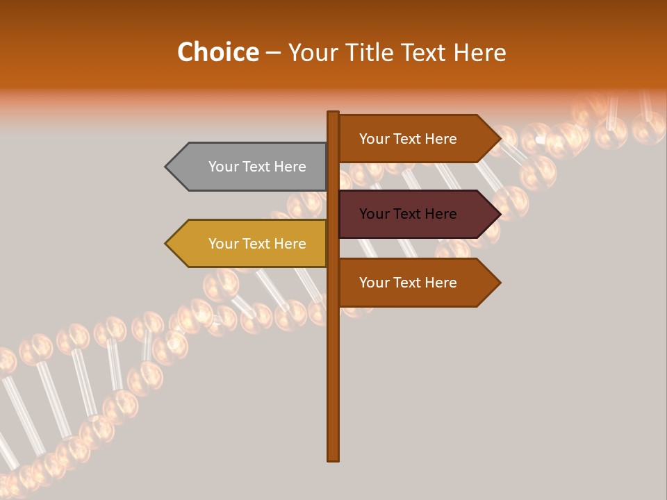 Health Ball Helix PowerPoint Template