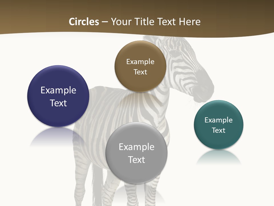 Wild Equus Hoof PowerPoint Template