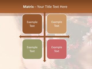 Pretty Style Beautiful PowerPoint Template