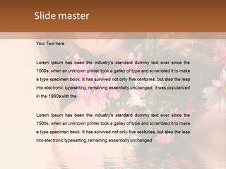 Pretty Style Beautiful PowerPoint Template