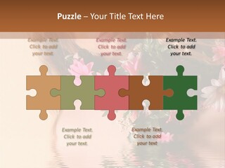 Pretty Style Beautiful PowerPoint Template
