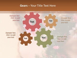Pretty Style Beautiful PowerPoint Template