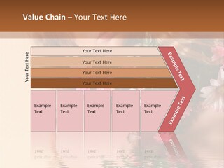 Pretty Style Beautiful PowerPoint Template