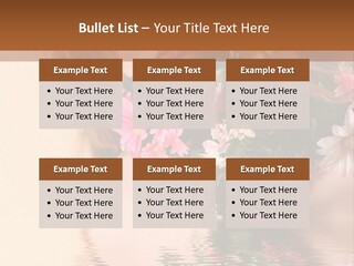 Pretty Style Beautiful PowerPoint Template