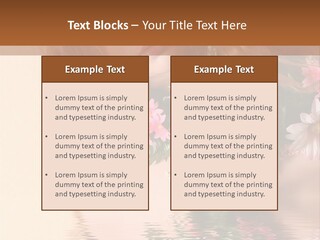 Pretty Style Beautiful PowerPoint Template