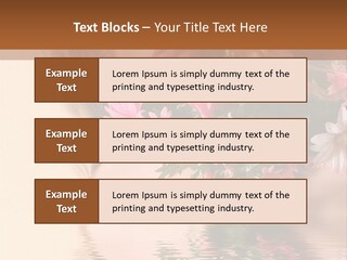 Pretty Style Beautiful PowerPoint Template