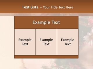 Pretty Style Beautiful PowerPoint Template
