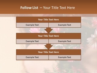 Pretty Style Beautiful PowerPoint Template