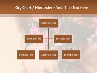 Pretty Style Beautiful PowerPoint Template