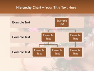 Pretty Style Beautiful PowerPoint Template