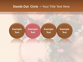 Pretty Style Beautiful PowerPoint Template