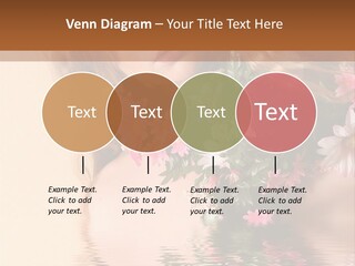 Pretty Style Beautiful PowerPoint Template