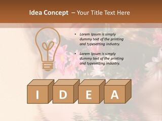Pretty Style Beautiful PowerPoint Template