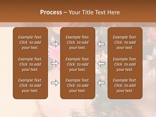 Pretty Style Beautiful PowerPoint Template