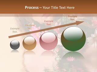 Pretty Style Beautiful PowerPoint Template