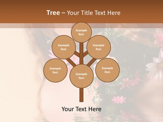 Pretty Style Beautiful PowerPoint Template