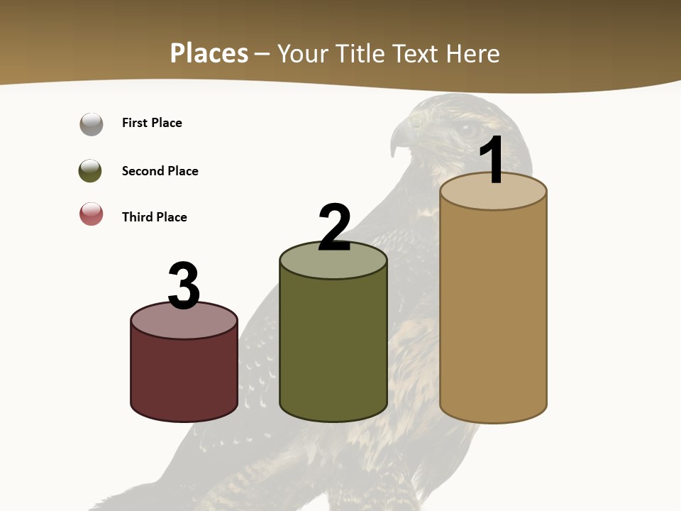 Hawk Isolated Nature PowerPoint Template