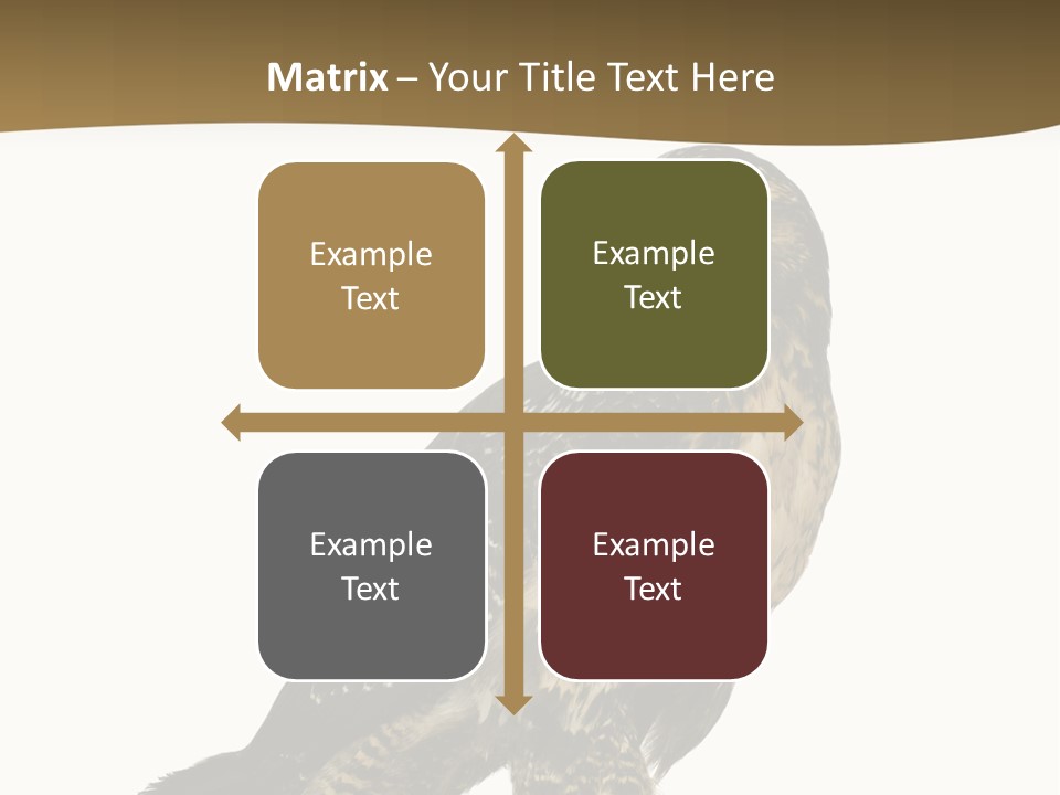 Hawk Isolated Nature PowerPoint Template
