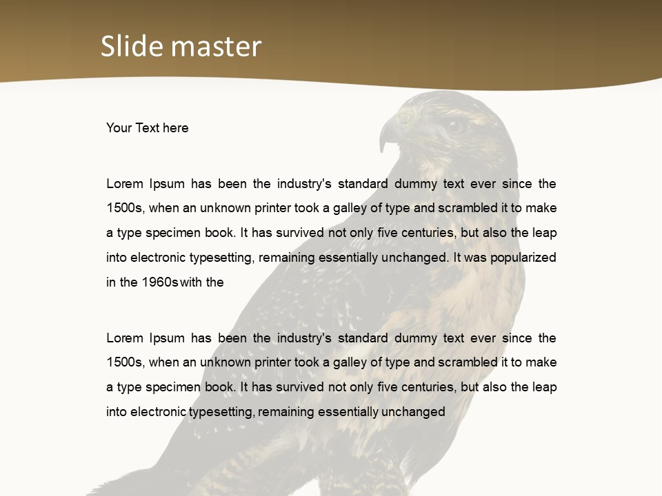 Hawk Isolated Nature PowerPoint Template