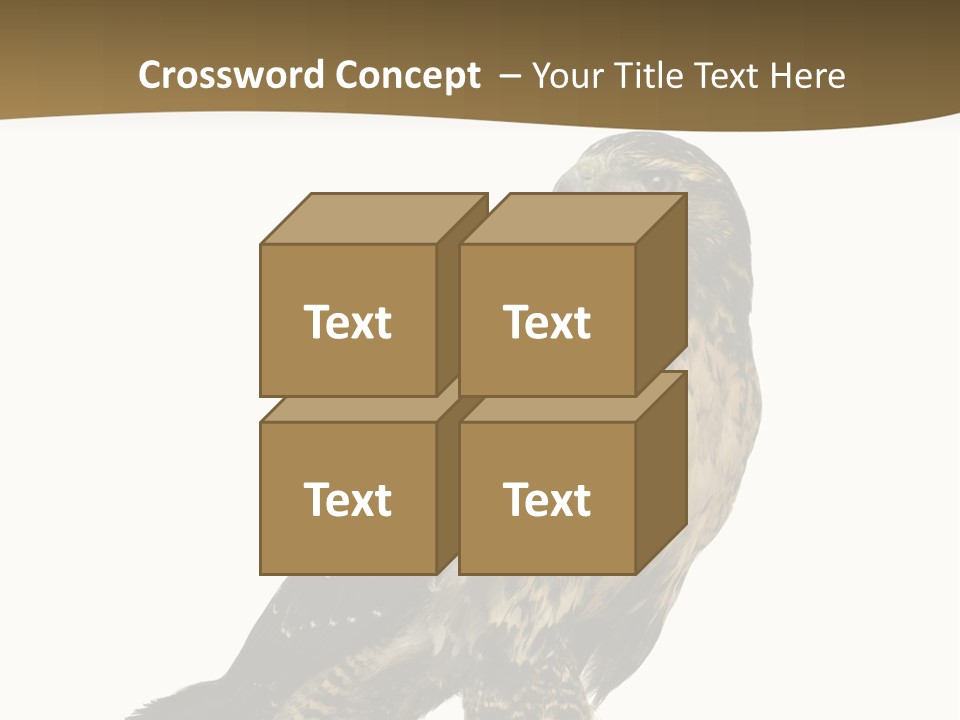 Hawk Isolated Nature PowerPoint Template