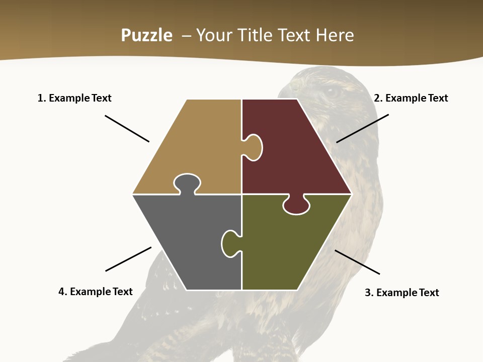 Hawk Isolated Nature PowerPoint Template