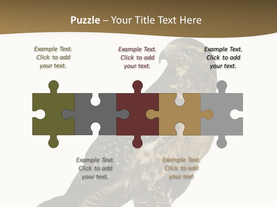 Hawk Isolated Nature PowerPoint Template