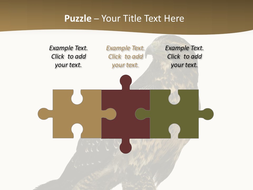 Hawk Isolated Nature PowerPoint Template