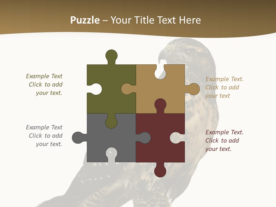 Hawk Isolated Nature PowerPoint Template